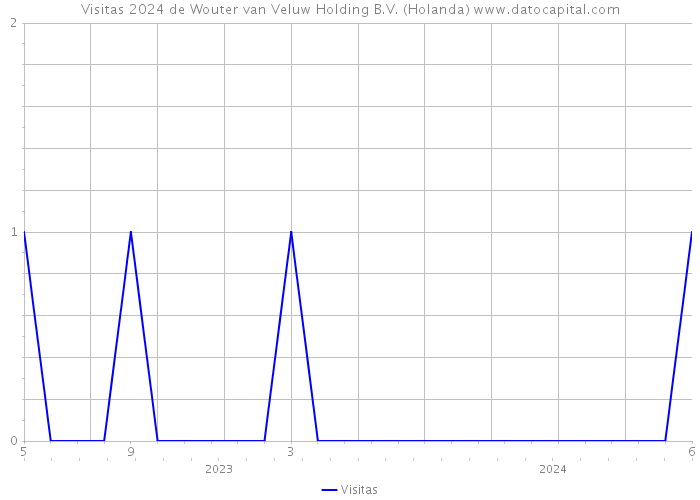 Visitas 2024 de Wouter van Veluw Holding B.V. (Holanda) 