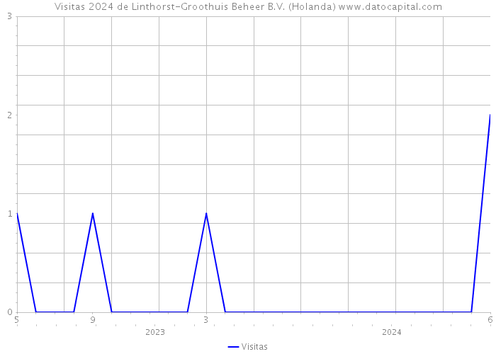 Visitas 2024 de Linthorst-Groothuis Beheer B.V. (Holanda) 