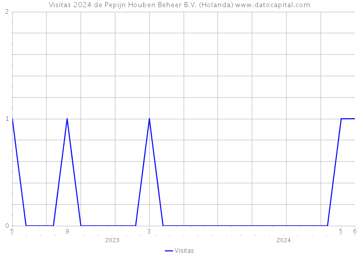 Visitas 2024 de Pepijn Houben Beheer B.V. (Holanda) 