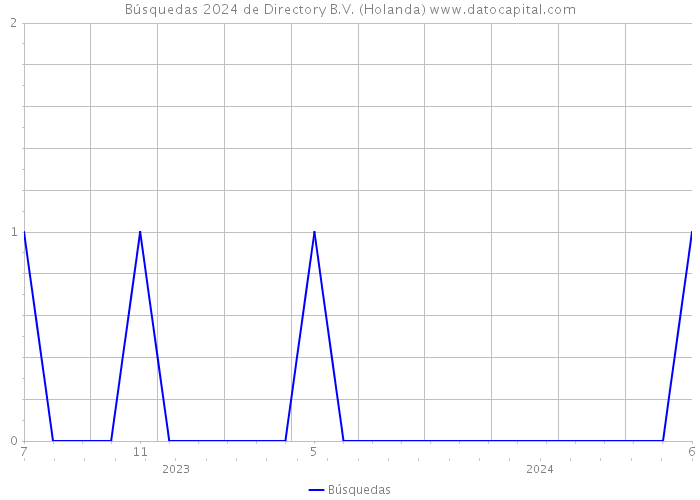 Búsquedas 2024 de Directory B.V. (Holanda) 