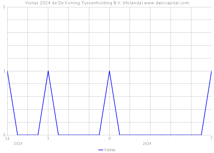 Visitas 2024 de De Koning Tussenholding B.V. (Holanda) 