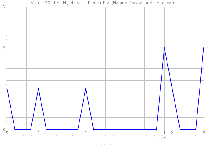 Visitas 2024 de H.J. de Vries Beheer B.V. (Holanda) 