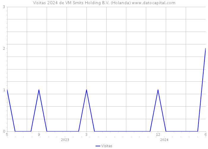 Visitas 2024 de VM Smits Holding B.V. (Holanda) 