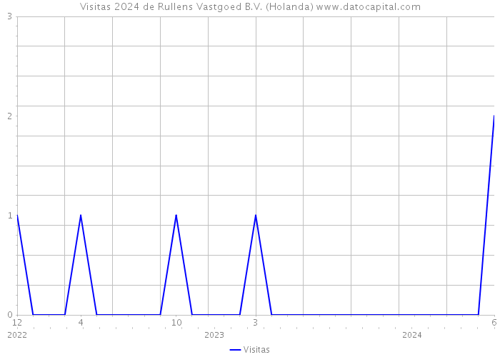 Visitas 2024 de Rullens Vastgoed B.V. (Holanda) 