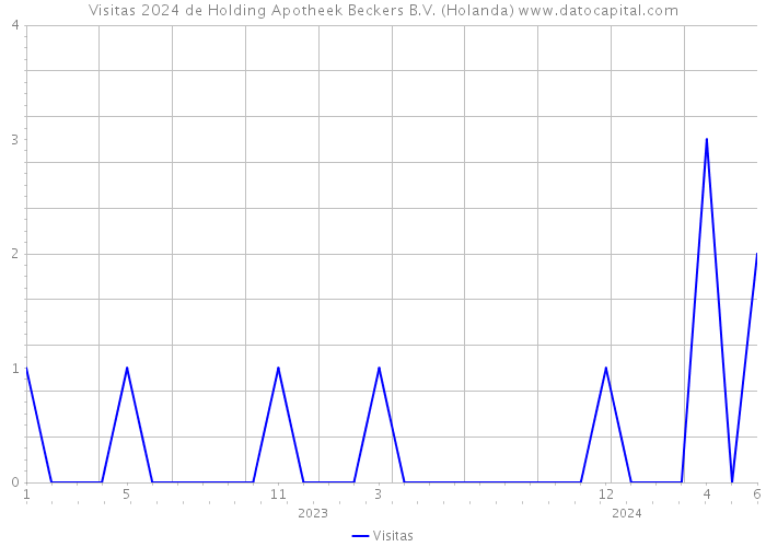 Visitas 2024 de Holding Apotheek Beckers B.V. (Holanda) 