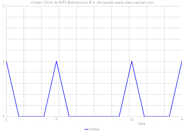 Visitas 2024 de MTS Enterprises B.V. (Holanda) 