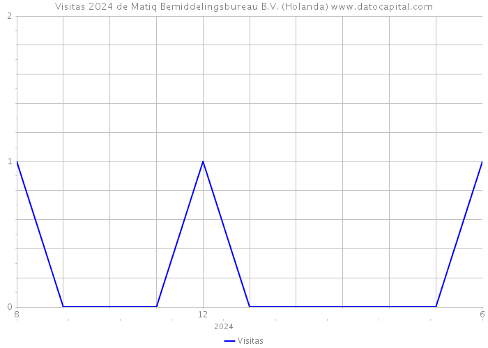 Visitas 2024 de Matiq Bemiddelingsbureau B.V. (Holanda) 