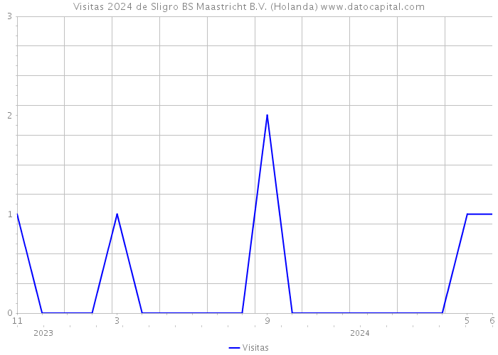 Visitas 2024 de Sligro BS Maastricht B.V. (Holanda) 