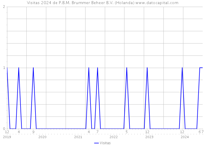 Visitas 2024 de P.B.M. Brummer Beheer B.V. (Holanda) 