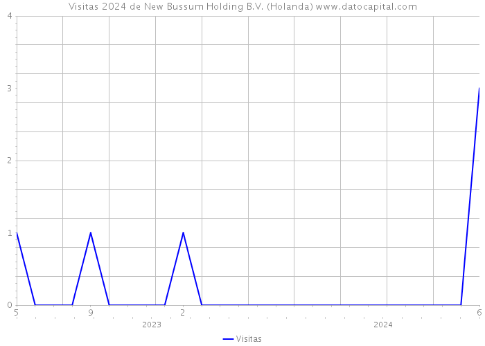 Visitas 2024 de New Bussum Holding B.V. (Holanda) 