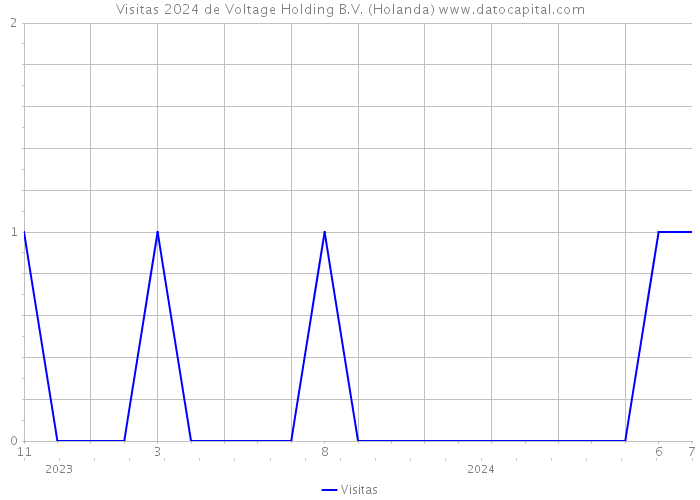 Visitas 2024 de Voltage Holding B.V. (Holanda) 