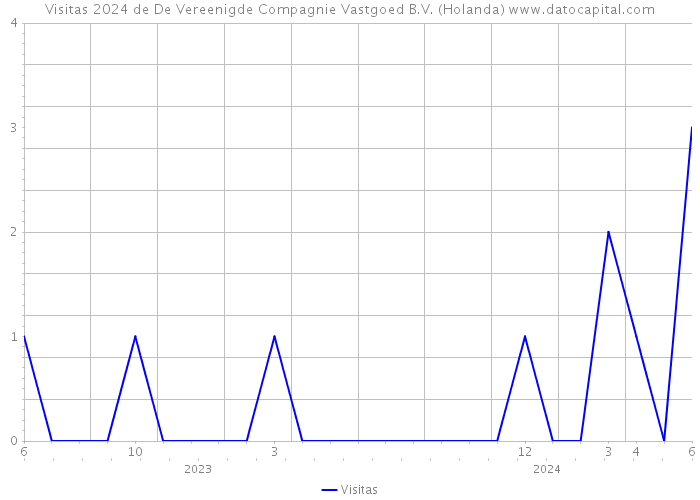 Visitas 2024 de De Vereenigde Compagnie Vastgoed B.V. (Holanda) 