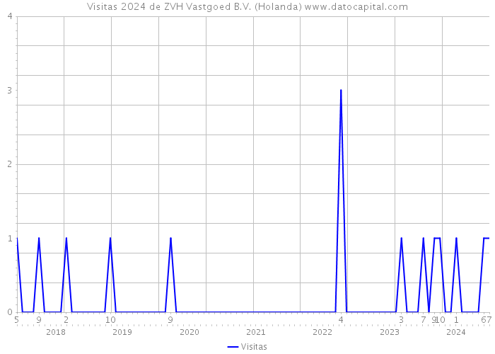 Visitas 2024 de ZVH Vastgoed B.V. (Holanda) 