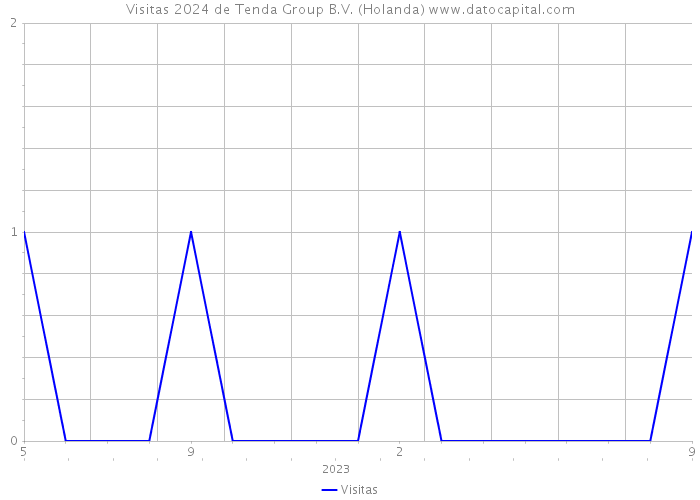 Visitas 2024 de Tenda Group B.V. (Holanda) 