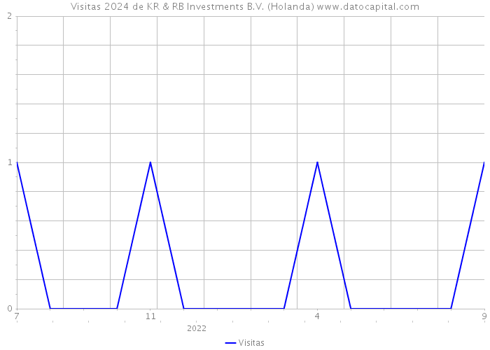 Visitas 2024 de KR & RB Investments B.V. (Holanda) 