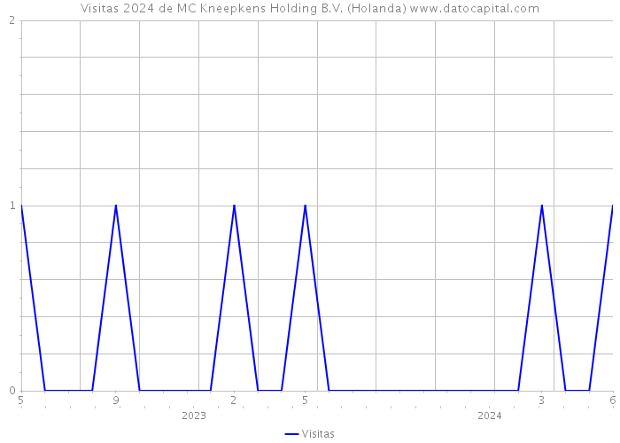 Visitas 2024 de MC Kneepkens Holding B.V. (Holanda) 