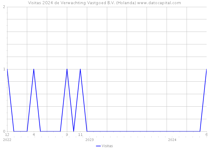 Visitas 2024 de Verwachting Vastgoed B.V. (Holanda) 