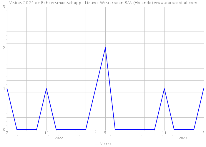 Visitas 2024 de Beheersmaatschappij Lieuwe Westerbaan B.V. (Holanda) 