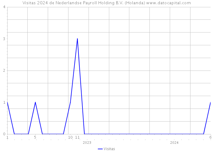 Visitas 2024 de Nederlandse Payroll Holding B.V. (Holanda) 