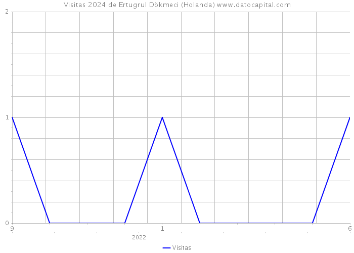 Visitas 2024 de Ertugrul Dökmeci (Holanda) 