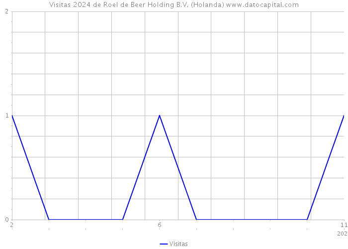 Visitas 2024 de Roel de Beer Holding B.V. (Holanda) 