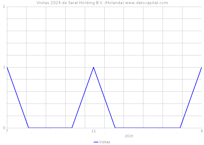 Visitas 2024 de Saral Holding B.V. (Holanda) 