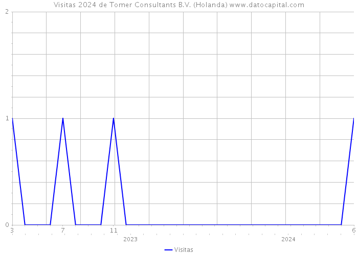 Visitas 2024 de Tomer Consultants B.V. (Holanda) 