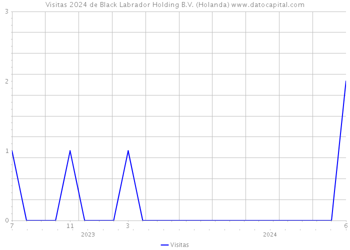 Visitas 2024 de Black Labrador Holding B.V. (Holanda) 