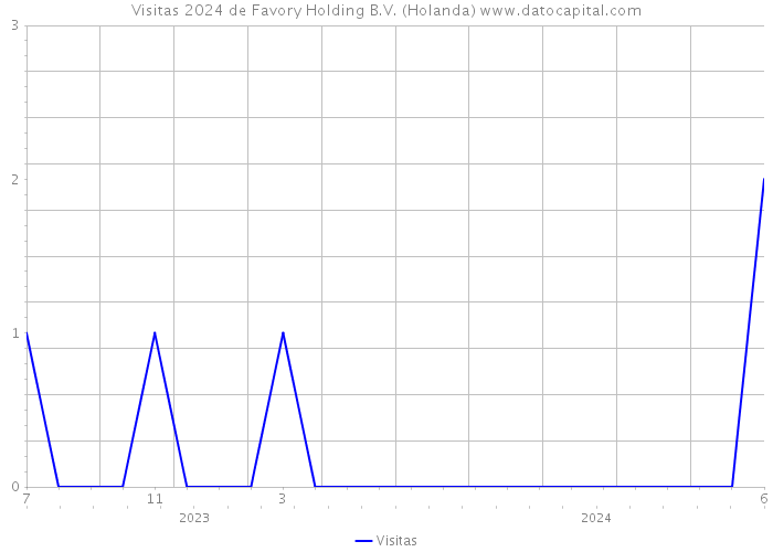 Visitas 2024 de Favory Holding B.V. (Holanda) 