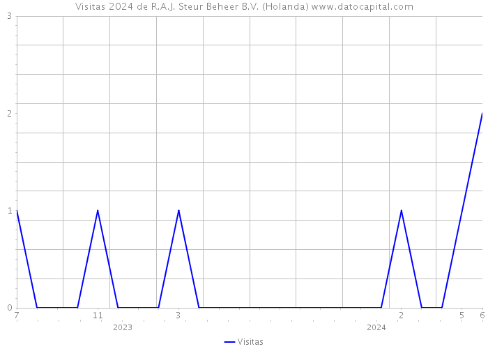 Visitas 2024 de R.A.J. Steur Beheer B.V. (Holanda) 