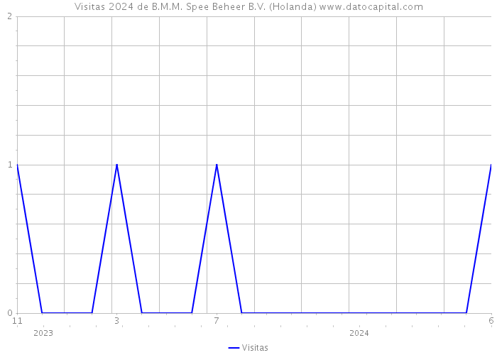 Visitas 2024 de B.M.M. Spee Beheer B.V. (Holanda) 