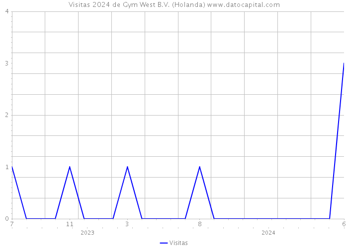 Visitas 2024 de Gym West B.V. (Holanda) 
