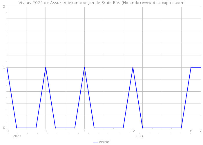 Visitas 2024 de Assurantiekantoor Jan de Bruin B.V. (Holanda) 