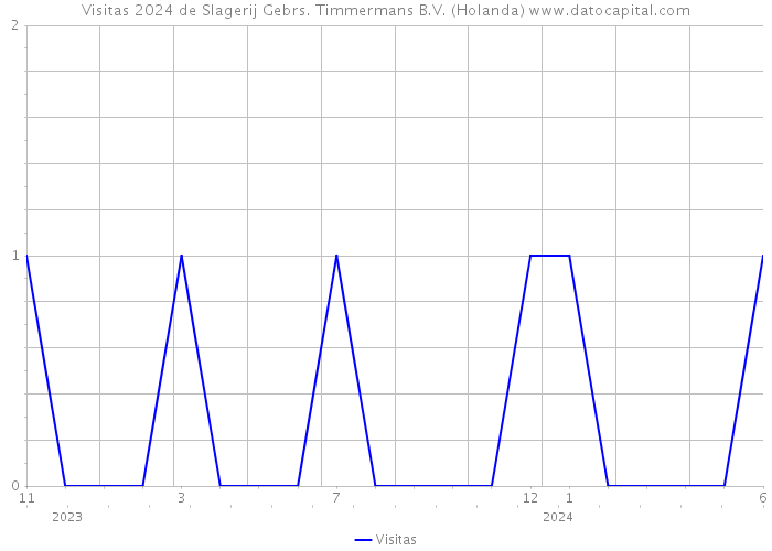 Visitas 2024 de Slagerij Gebrs. Timmermans B.V. (Holanda) 