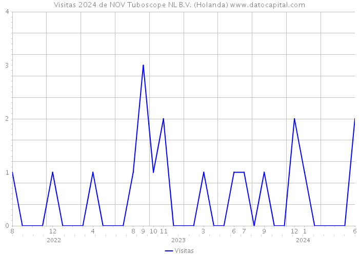 Visitas 2024 de NOV Tuboscope NL B.V. (Holanda) 