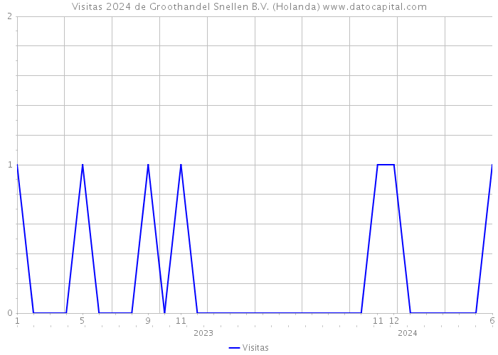 Visitas 2024 de Groothandel Snellen B.V. (Holanda) 