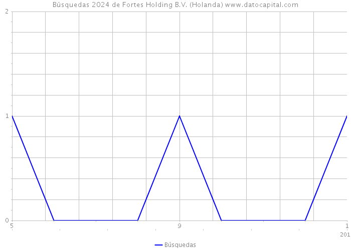 Búsquedas 2024 de Fortes Holding B.V. (Holanda) 