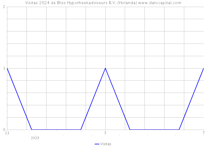 Visitas 2024 de Bliss Hypotheekadviseurs B.V. (Holanda) 