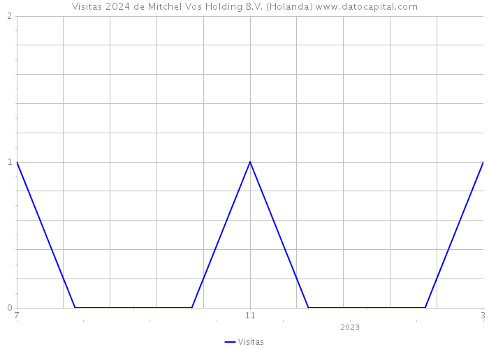 Visitas 2024 de Mitchel Vos Holding B.V. (Holanda) 