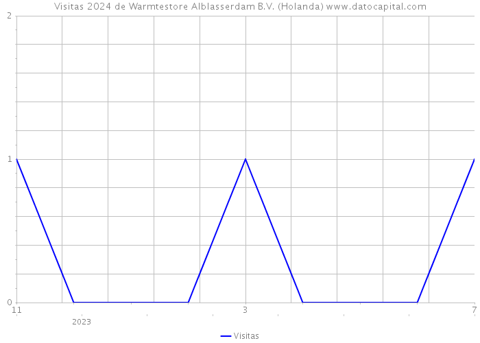 Visitas 2024 de Warmtestore Alblasserdam B.V. (Holanda) 