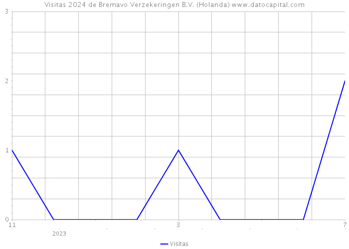 Visitas 2024 de Bremavo Verzekeringen B.V. (Holanda) 
