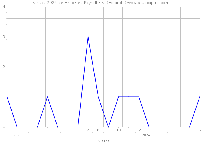 Visitas 2024 de HelloFlex Payroll B.V. (Holanda) 