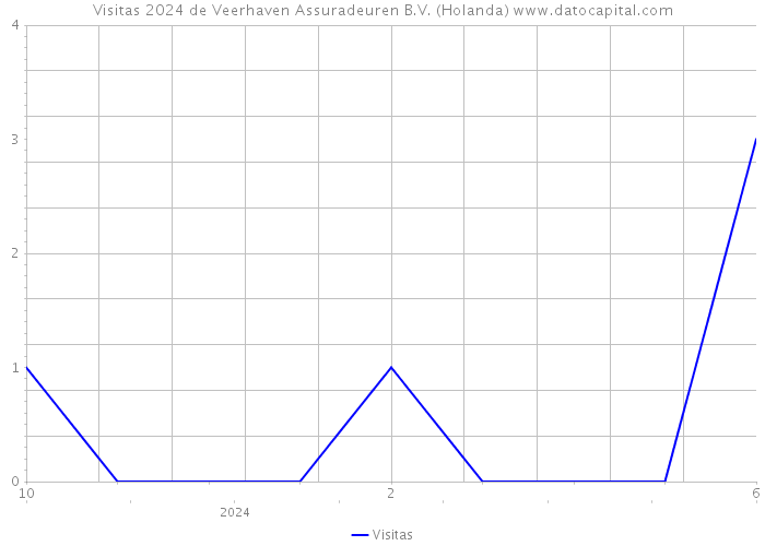 Visitas 2024 de Veerhaven Assuradeuren B.V. (Holanda) 