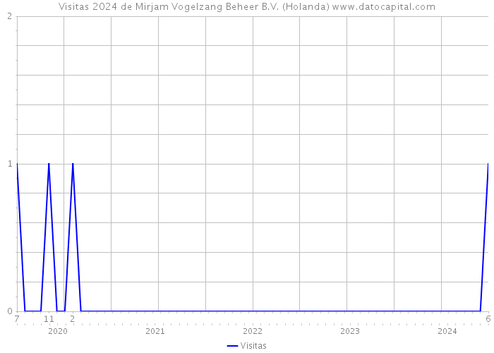 Visitas 2024 de Mirjam Vogelzang Beheer B.V. (Holanda) 