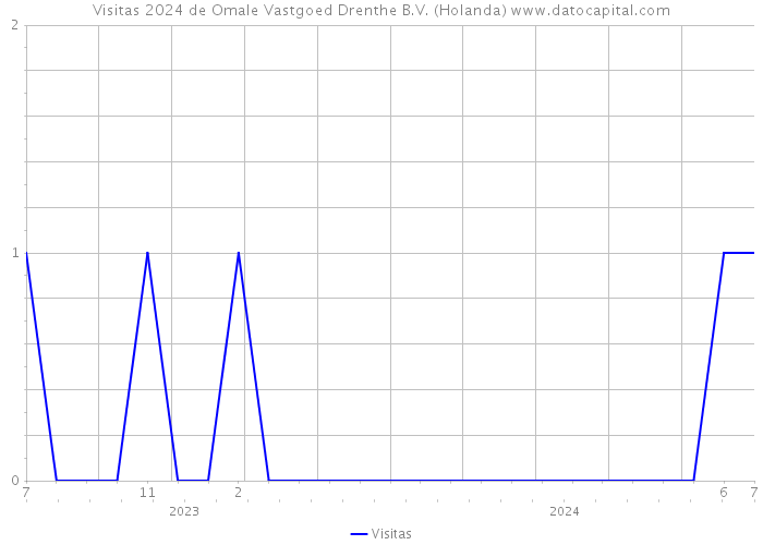 Visitas 2024 de Omale Vastgoed Drenthe B.V. (Holanda) 