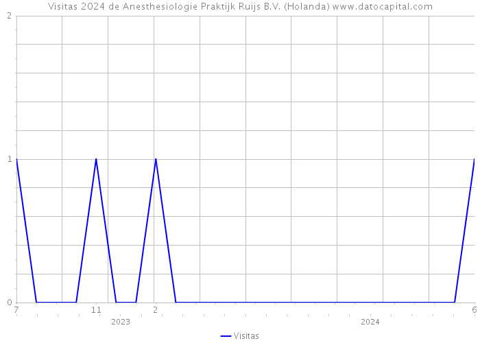 Visitas 2024 de Anesthesiologie Praktijk Ruijs B.V. (Holanda) 