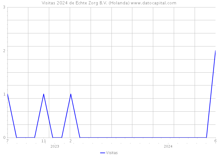 Visitas 2024 de Echte Zorg B.V. (Holanda) 