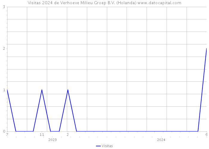 Visitas 2024 de Verhoeve Milieu Groep B.V. (Holanda) 