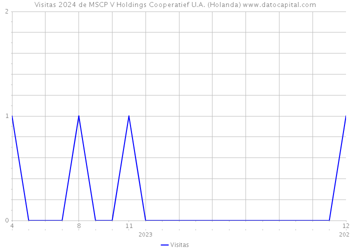 Visitas 2024 de MSCP V Holdings Cooperatief U.A. (Holanda) 