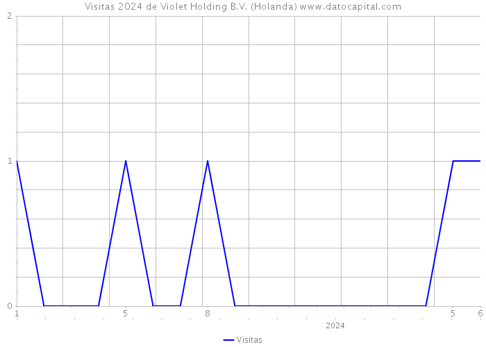 Visitas 2024 de Violet Holding B.V. (Holanda) 